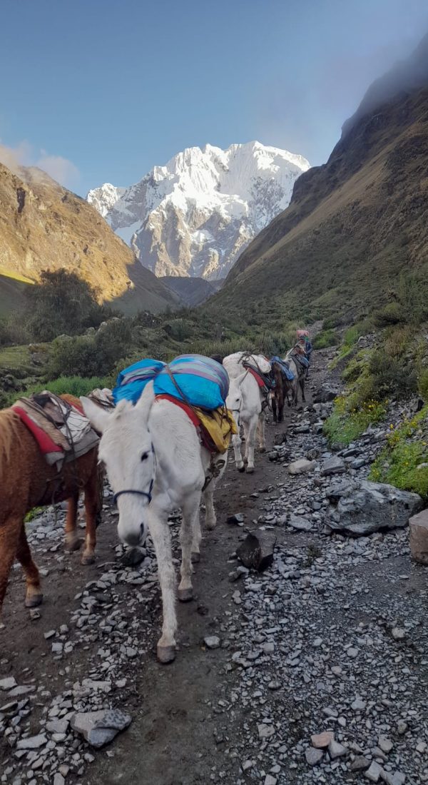 Salkantay